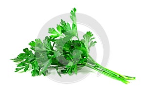 Bunch of fresh green parsley isolated on white background.