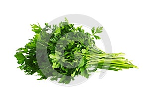 Bunch of fresh green parsley. Isolated on white background