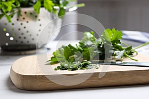 Bunch of fresh green parsley on table, closeup