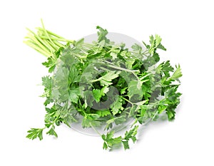 Bunch of fresh green parsley on white