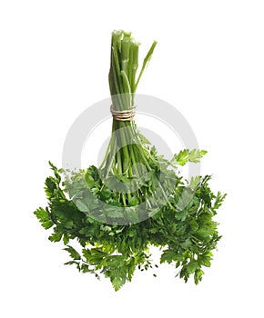 Bunch of fresh green parsley on white