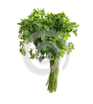 Bunch of fresh green parsley on white