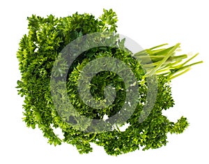 A bunch of fresh green parsley on white background