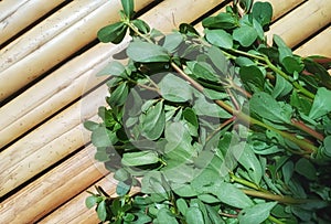 Bunch of Fresh Green Purslane or Porcellana Vegetable on Bamboo Background