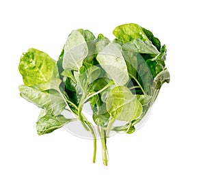 Bunch of fresh green spinach leaves isolated on white background. Healthy lifestyle concept. Vegeterian food