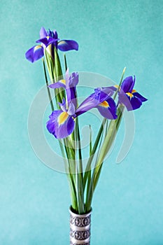 Bunch of fresh irises on green textured background