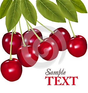 Bunch of fresh, juicy, ripe cherries. Vector