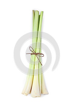 Bunch of fresh lemongrass on white background, top view