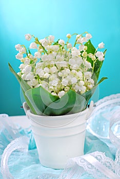 Bunch of fresh lily of the valley
