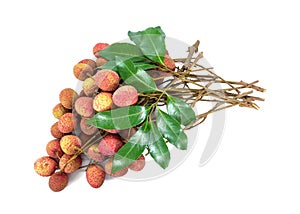 Bunch of fresh lychees with leaves isolated on white background