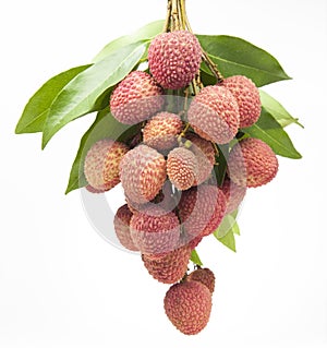 A bunch of fresh lychees on white background