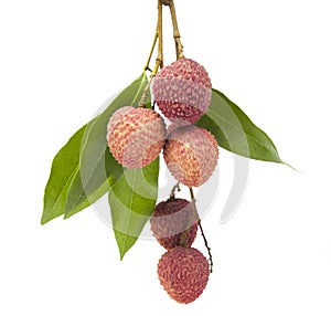 A bunch of fresh lychees on white background