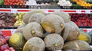Bunch of fresh melons in supermarket placed amongst fruits and vegetables.