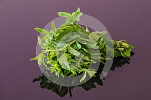 Bunch of fresh mint on a black reflective table