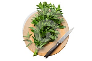 Bunch of fresh mint on the cutting boards, isolated on white backgroundtop view