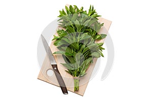 Bunch of fresh mint on the cutting boards, isolated on white backgroundtop view