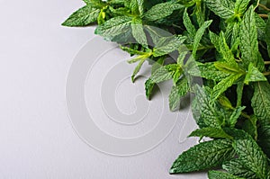 Bunch of fresh mint on gray background, Copy Space