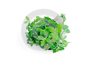 Bunch of fresh mint isolated on white background