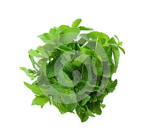 Bunch of fresh mint isolated on white, top view