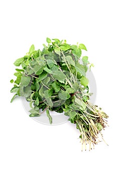 Bunch of fresh mint leaves