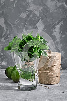 Bunch of fresh mint in a vase of water on a gray background. The concept of fresh food, packaging and online delivery of