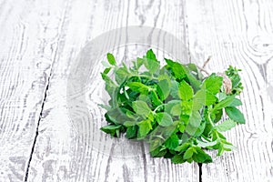 Bunch of fresh mint on white wooden table