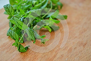 Bunch of fresh mint on wooden background