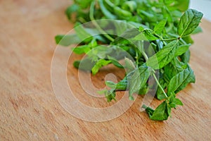 Bunch of fresh mint on wooden background