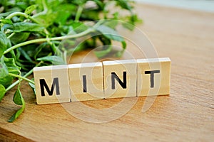 Bunch of fresh mint on wooden background.Word mint of wooden blocks with letters