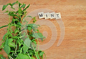 Bunch of fresh mint on wooden background.Word mint of wooden blocks with letters