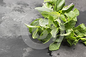 Bunch fresh mints on a dark background. Copy space