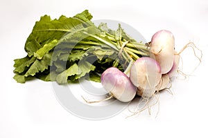 Bunch of fresh new turnip on white background