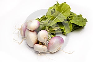 Bunch of fresh new turnip on white background