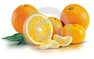 Bunch of Fresh Oranges