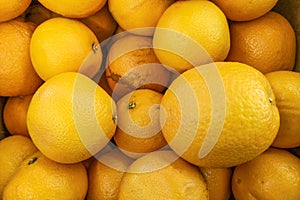 Bunch of fresh oranges on market. Healthy fruits, orange fruits background many orange fruits - orange fruit background in a