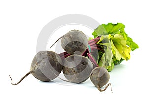 BUNCH OF FRESH ORGANIC BEETROOT ISOLATED ON A WHITE BACKGROUND