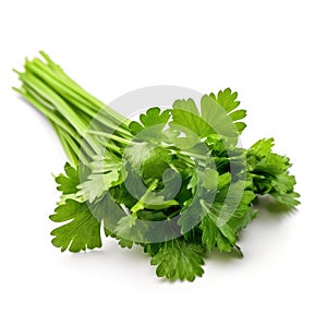Bunch of a fresh organic parsley ingredient for cooking with white background Generative AI Illustration