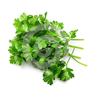 Bunch of a fresh organic raw parsley ingredient for cooking with white background Generative AI Illustration