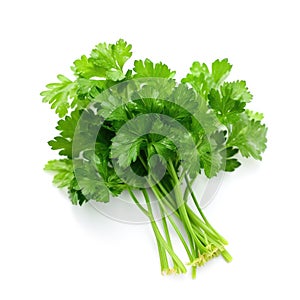 Bunch of a fresh organic raw parsley ingredient for cooking with white background Generative AI Illustration