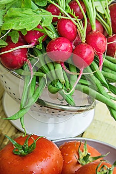 Bunch of Fresh Organic Red Radishes with Water Drops in Colander Tomatoes on Weathered Wood Garden Table