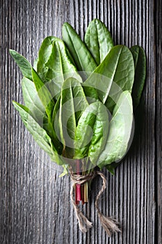 Bunch of fresh organic sorrel leaves on wooden table