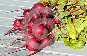 Bunch of fresh organic uncooked beetroot.