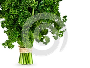 Bunch of fresh parsley