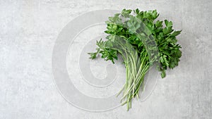 Bunch of fresh parsley on the gray background