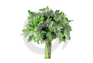 bunch of fresh parsley isolated on white