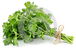 Bunch fresh parsley isolated on white background