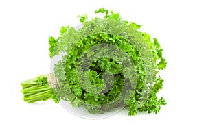 Bunch of fresh Parsley / isolated on white photo