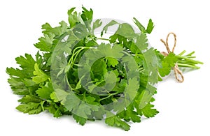 Bunch fresh parsley isolated on white background