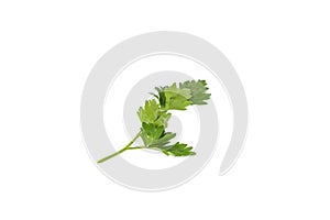 Bunch fresh parsley isolated on white background. Close up