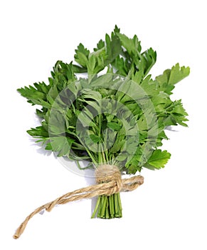A bunch of fresh parsley isolated on white background. Spice. Co